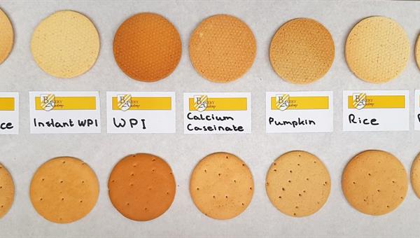 Biscuits with protein