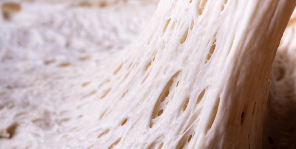 Protein Functions | Bakery Academy