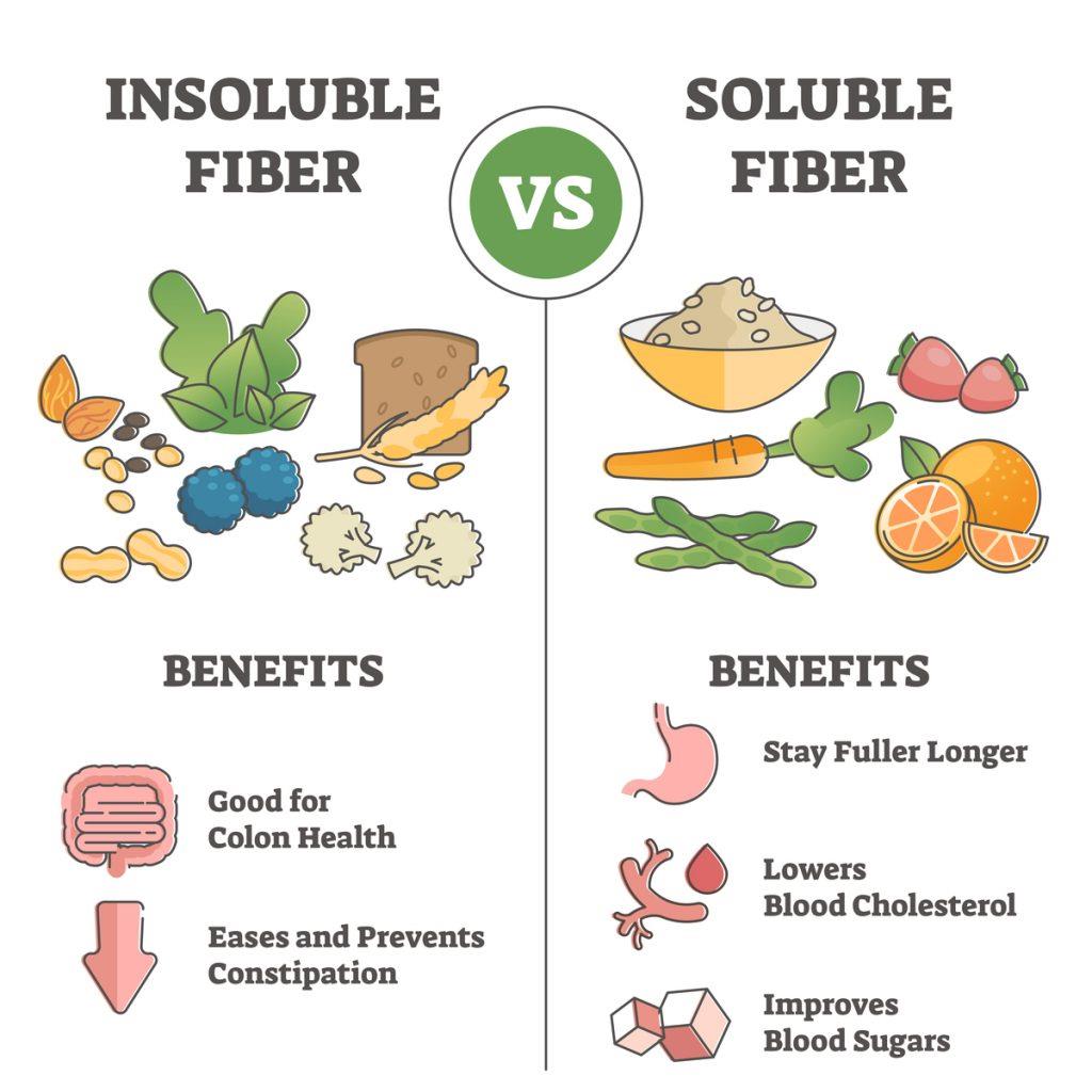 Functions Of Fibres In Biscuits Bakery Academy