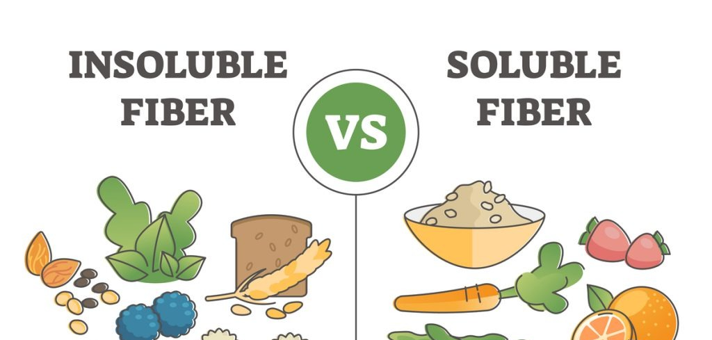 Functions of fibres | Bakery Academy