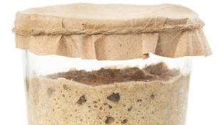 Biological leavening