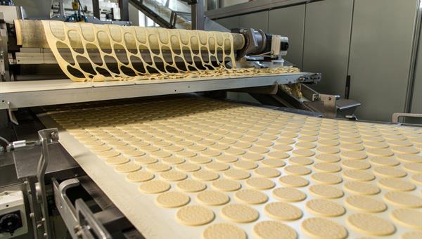 Biscuits processes