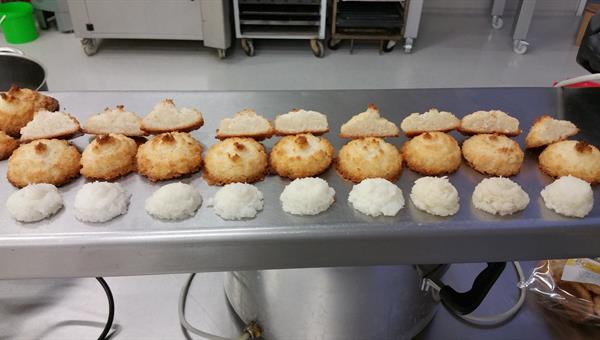 Shape and forms of product development