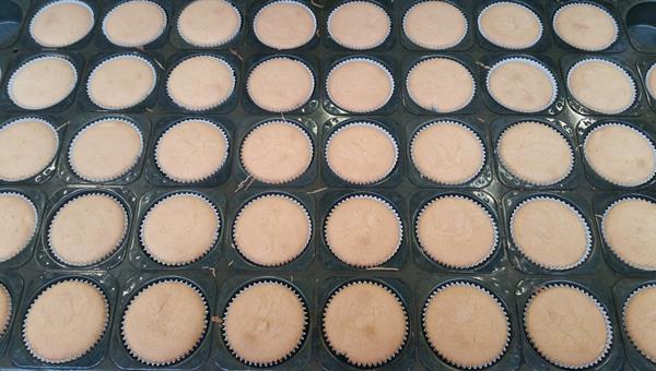 Egg free formulations