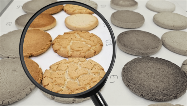 Research in the bakery industry