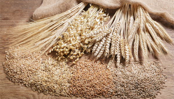 Classic grains