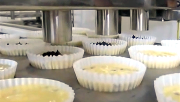 Recipe optimization at scale
