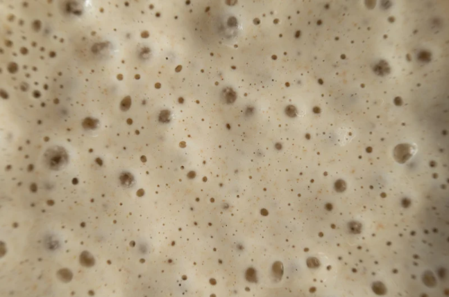 Sourdough: Bacteria, Temperature, and Hydration | Bakery Academy