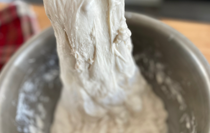 How Temperature Influences the Growth of Different Bacteria in Sourdough | Bakery Academy