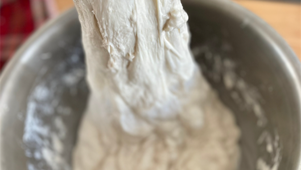 How Temperature Influences the Growth of Different Bacteria in Sourdough