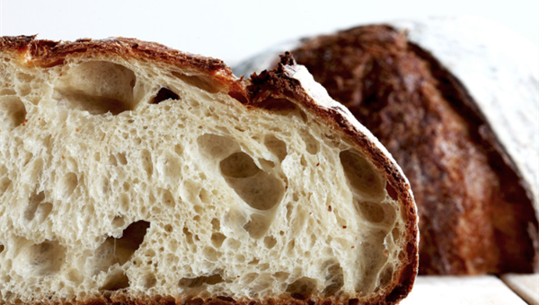 How Hydration Influences the Formation of Different Bacteria in Sourdough