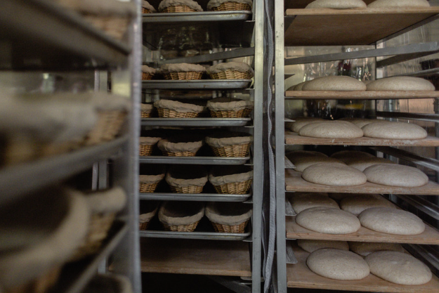 Sourdough: What Really Lives in Your Starter | Bakery Academy