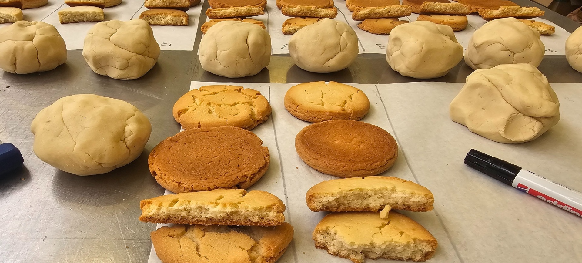 From experiment to process insight | Bakery Academy