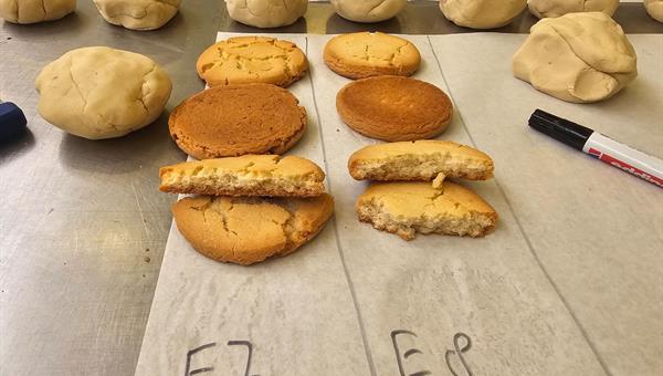 From experiment to process insight