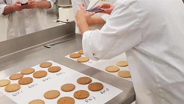 Professional development as a strategic foundation