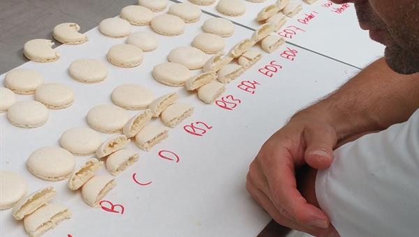 Product insight as key to stability and innovation