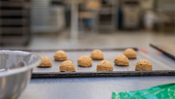 Case Study - Biscuit development